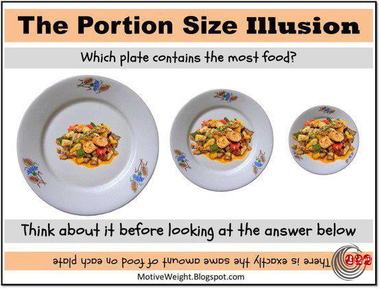 portion-size