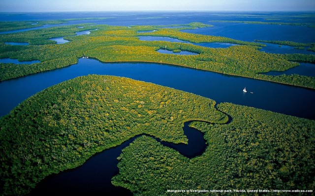 FreeGreatPicture_com-19913-everglades-national-park39s-mangrove-forests