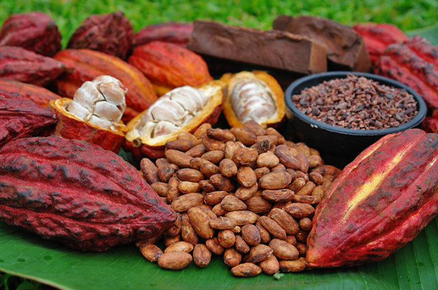 cocoa-beans-and-pods