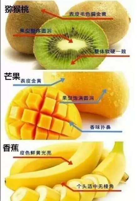 水果2
