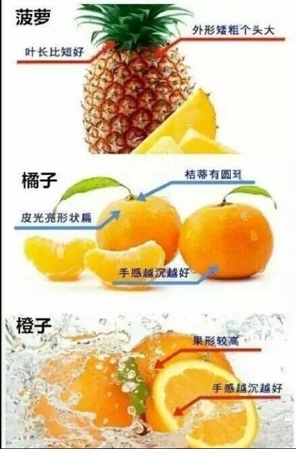 水果4
