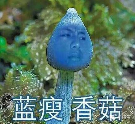 藍瘦香菇