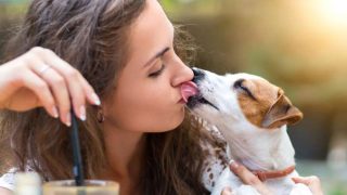 shutterstock-dog-licking-its-owner