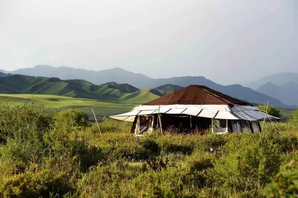 22岁，这个美国混血女孩跑来中国寻根，让藏族牦牛绒征服LV、爱马仕，还打造了全球Top43的最美草原民宿！