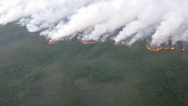 当心！美东南森林大火延绵5万平方公里，林业厅警告远离危险路段