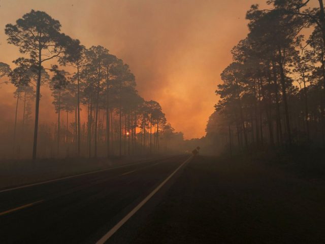 當心！美東南森林大火延綿5萬平方公里，林業廳警告遠離危險路段