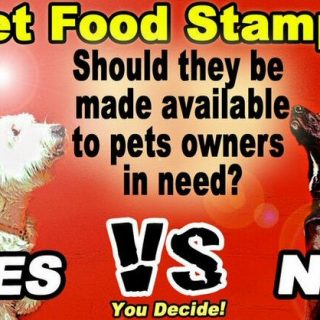 一項旨在擴大食品券囊括寵物食品的新提議