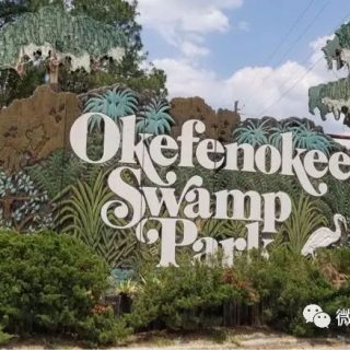 Okefenokee Swamp 探險記