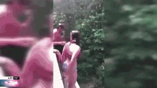 北美 | 美國比基尼少女遭損友惡搞 18米高處被推落瀑布塘