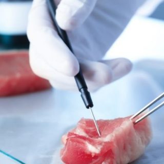 人造肉市場興起，FDA和農業部聯手制定規範