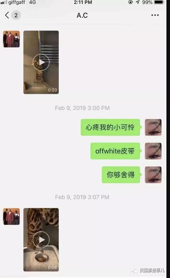 中国留学生嗑嗨后图快感把猫虐待致死 删号道歉逃回国了事 没门 亚特兰大生活网