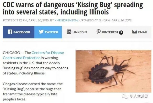 致命危险！CDC警告：接吻虫入侵北美，全美蔓延中 被叮咬恐死亡！
