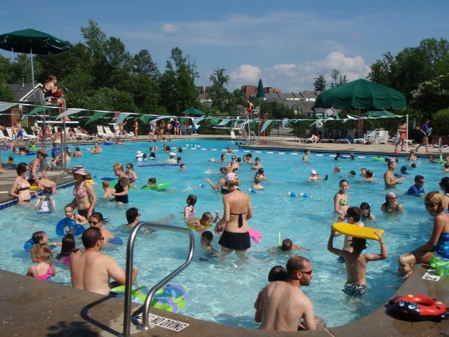 全美公共泳池寄生虫越来越多 去游泳怎么做才能不得病？