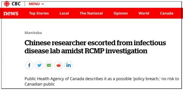 发明埃博拉病毒“解药”的华裔女科学家，被加拿大当局调查后带走