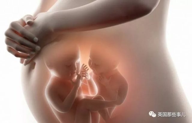 亞裔夫妻做試管受孕卻生下一對白人嬰兒 然而這不是最悲催的......
