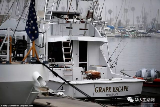 665美元等來死神！4具屍體浮出，還有29人失蹤，加州外海遊艇大火更新