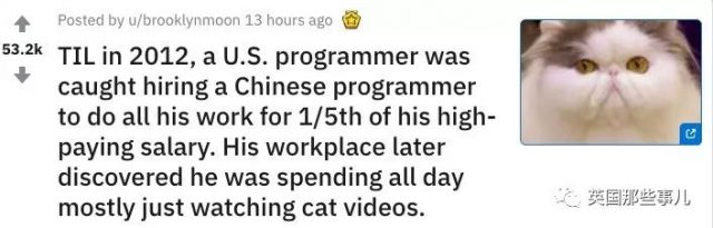 美国程序员把工作外包给中国程序员，啥也不干年入20万美元，这操作也是骚