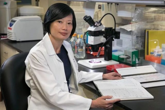華人的驕傲，3華裔女博士獲得1800萬美元研究獎金