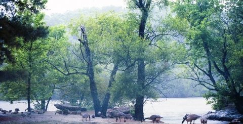 佐治亚州可能会新建国家生态公园