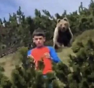 【視頻】恐怖！外出的12歲男孩身後驚現一頭巨熊！他靠這招撿回一條命！