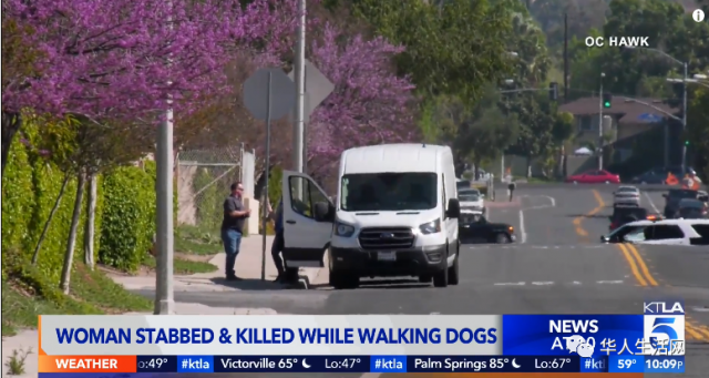 氣憤！美國64歲華女清晨遛狗，被女遊民刺死！嫌犯事發前剛因攻擊人被提前釋放！