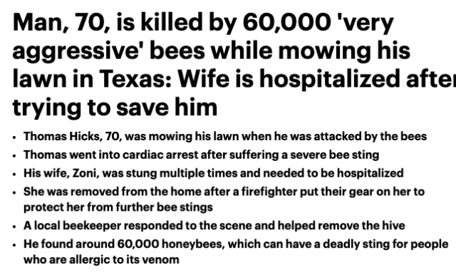 恐怖! 男子家門口剪草遭60000隻蜜蜂襲擊 當場慘死! 華人親述經歷 這樣做可以救人一命