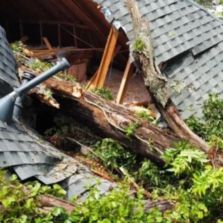 驚險! 大樹倒塌劈開屋頂 砸向睡夢中的嬰兒! 媽媽狂奔救子 場面嚇人!