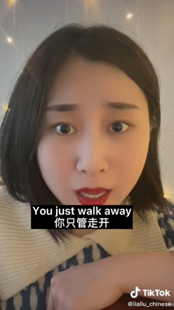 中國妹子被美國街頭流浪漢數量嚇到，拍視頻引來外國網友熱議