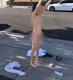 好尴尬！疑因碰瓷失败，洛杉矶华女全裸向警方挑衅！