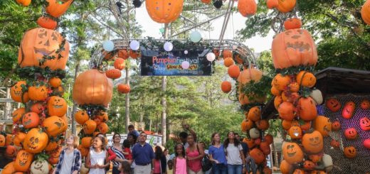 来一场秋季魔幻之旅吧！Stone Mountain Park南瓜节等你来玩！